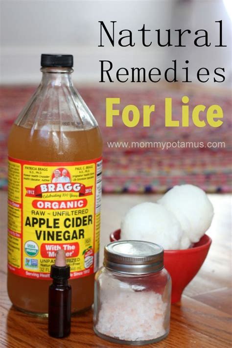 How To Get Rid of Lice Naturally | Lice remedies, Natural remedies, Remedies