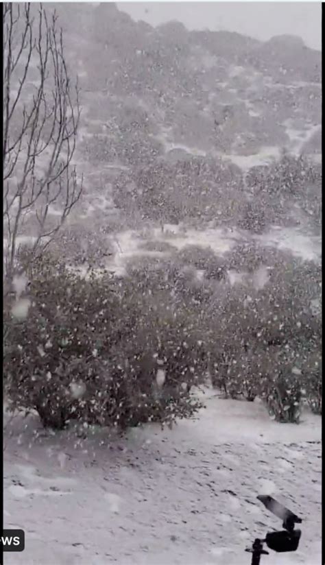 Snow on the Hollywood Sign? National Weather Service issues First ...