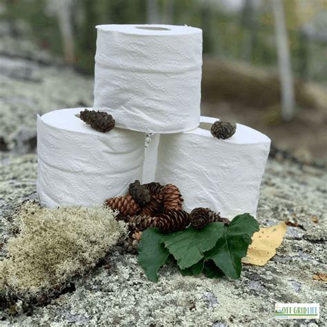 21 Toilet Paper Alternatives for When the TP is Gone - An Off Grid Life