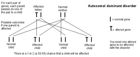 What is Marfan Syndrome ? - Interactive Biology, with Leslie Samuel