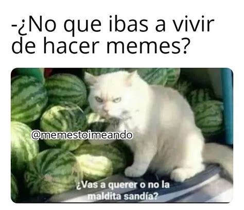 ¿No que ibas a vivir de hacer memes? ¿Vas a querer o no la maldita sandía? - Memes