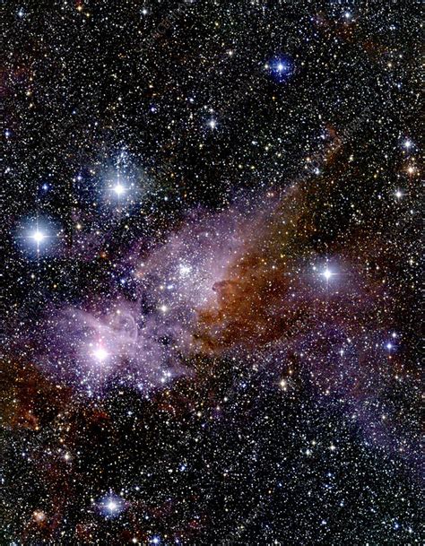 Eta Carinae Nebula - Stock Image - R574/0048 - Science Photo Library