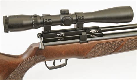 Gamo Coyote PCP Air Rifle Test Review