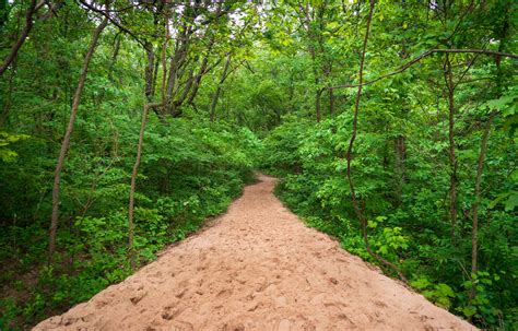 Indiana Dunes National Park: The Complete Guide