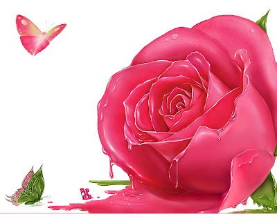 Natural HD Wallpaper: pink rose meaning | pink roses | pink rose wallpaper | light pink roses ...
