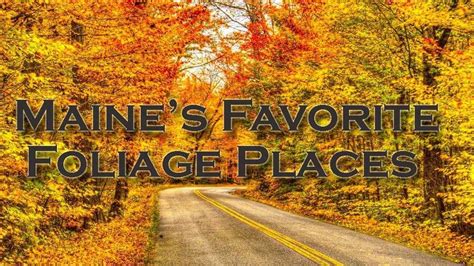 Maine's Favorite Foliage Places