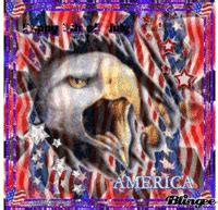 Patriotic GIFs - Get the best gif on GIFER