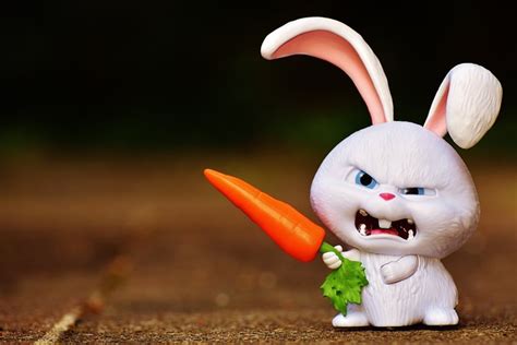 Rabbit Evil Snowball Movie - Free photo on Pixabay - Pixabay