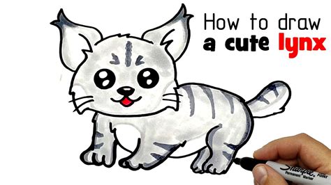 How to draw a cute lynx. Drawing and cooring a lynx. - YouTube