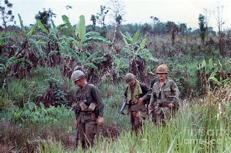 Out On Patrol 4th Infantry Division Central Highlands Of Vietnam 1968 ...