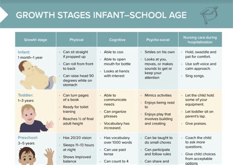 Growth Stages: Infant–School Age | Lecturio