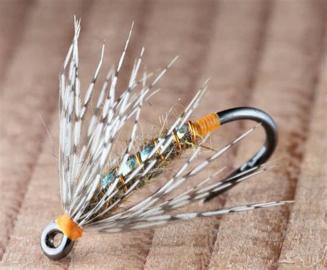 One of my favorite soft hackles to fish • • • • #flytying #flyfishing # ...