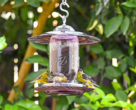 The Best Finch Feeders to Serve Thistle Seed - Birds and Blooms