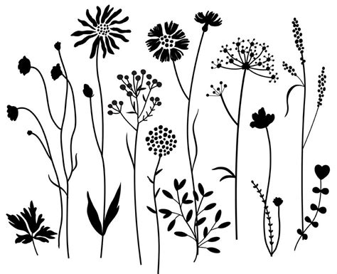 Wildflowers 2 digitale Clipart, von Hand gezeichnet digital Clipart Blumen. Photoshop Pinsel und ...