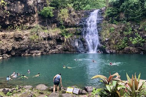 Oahu: North Shore Adventure with Waimea Waterfall Hike | GetYourGuide