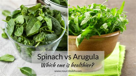 Spinach vs Arugula - Which one is truly better for you?