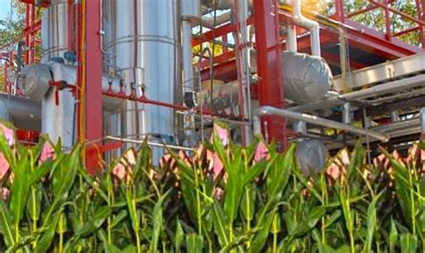 New Cost-Effective Furfural Production Process (10K € in Prizes)