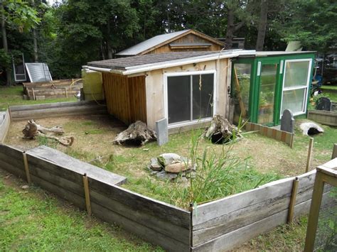 new tort shed and pen for sulcata | Sulcata tortoise, Outdoor tortoise enclosure, Tortoise habitat