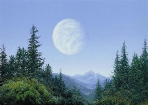 Endor (planet) | Wookieepedia | Fandom powered by Wikia