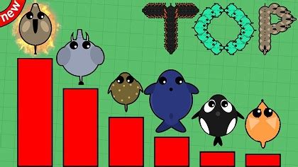 Mope.io Best Animal Set - Mope.io Unblocked Guide