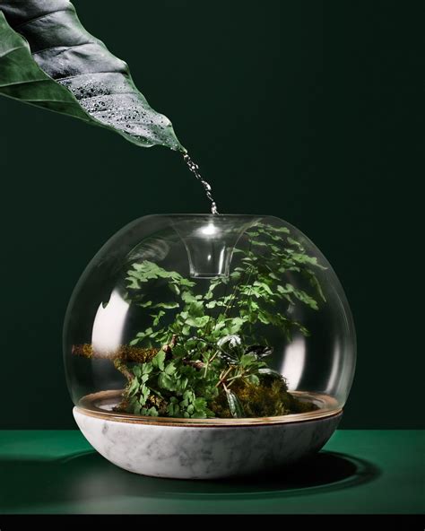 Biodome, our flagship terrarium Moss Terrarium, Garden Terrarium, Small Gardens, Outdoor Gardens ...