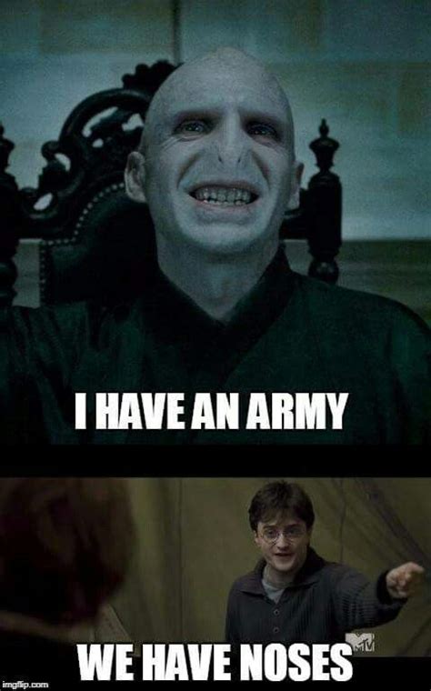 Pin by Maria Elder on Harry potter memes | Voldemort funny, Memes ...