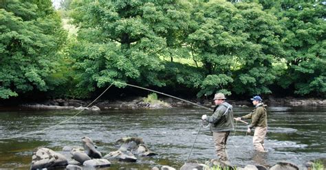 Fly fishing holidays Ireland, fly fishing vacation Ireland, game fishing, sea fishing, sport ...