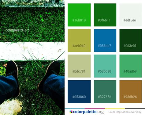 Green Plant Grass Color Palette | colorpalette.org