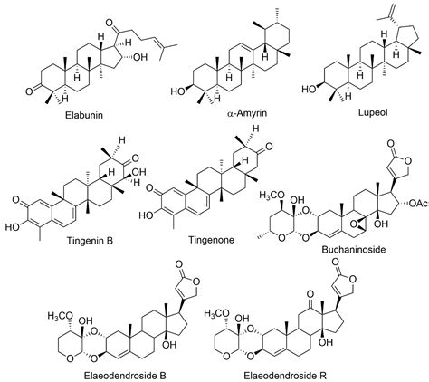 Applied Sciences | Free Full-Text | Bioactive Compounds from the Plants of the Elaeodendron ...