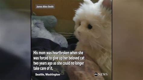 Mom with dementia finds comfort with robotic cat - ABC News