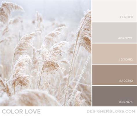 Neutral Pastel Color Palette