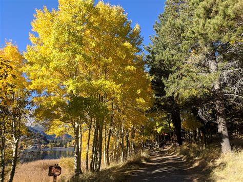 FALL COLORS – Visit June Lake Loop