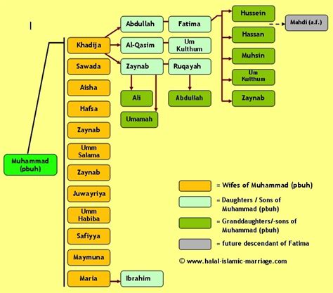 Prophet Muhammad Wives Family Tree