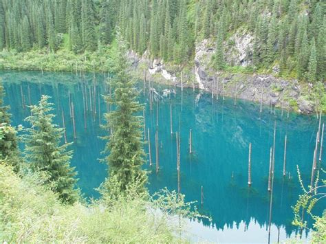 The Sunken Forest of Lake Kaindy | Amusing Planet