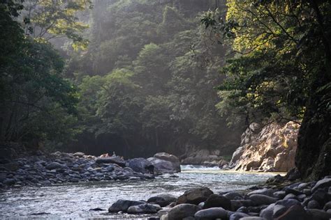 Pendakian Gunung Leuser - Touareg Adventure Services