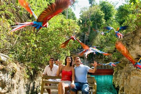 Xcaret Park All-Day Admission from Cancun and Playa Del Carmen 2024