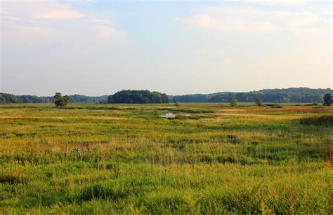 The prairie landscape at Chain O Lakes State Park, Illinois image - Free stock photo - Public ...