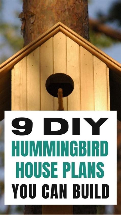 9 DIY Hummingbird House Plans You Can Build