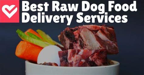 5 Best Raw Dog Food Delivery Services - Dog Endorsed