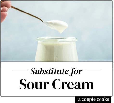 Best Sour Cream Substitute – A Couple Cooks