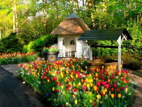 Colorful Spring Well in Keukenhof Park - HD Wallpaper