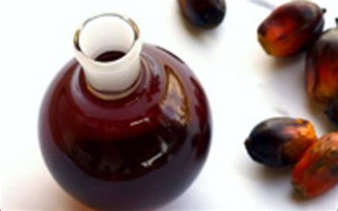 Palm Kernel Oil Benefits For Skin And Hair - Greener Health