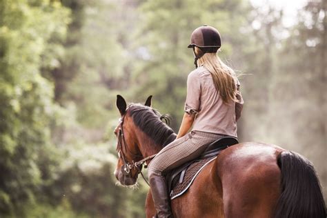 How to Sit Correctly While Horseback Riding