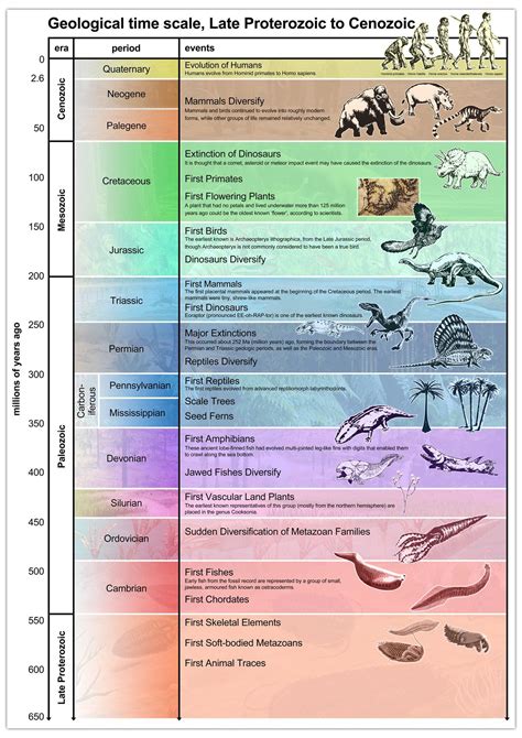 Geologic Time Scale Printable