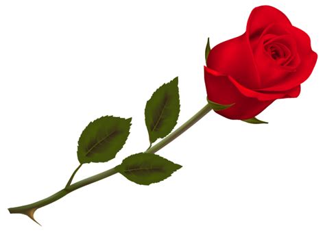 Rose Day SMS|Messages|Facebook|Whats app|Hindi | Red rose png, Rosé png, Beautiful red roses