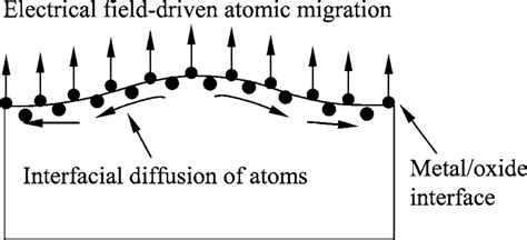 A schematic diagram of two mechanisms controlling the growth of the ...