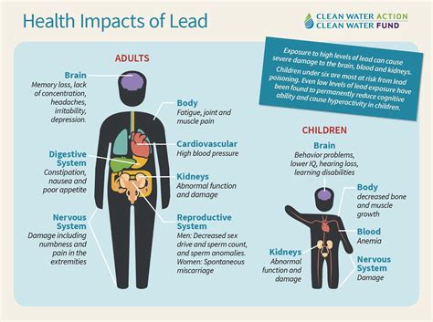 Very informative image about the effects of lead poisoning, expect a ...