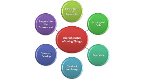 The characteristics of living things include: organization, cellular composition, metabolism ...