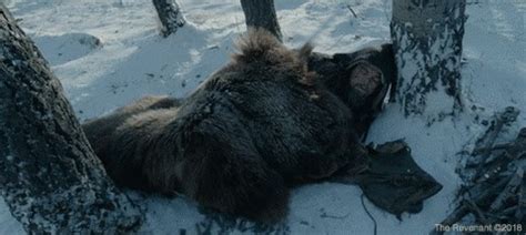 The Revenant Movie - Home | Facebook