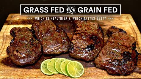 Grass-Fed vs. Grass-Finished Beef: What's the Difference?, grass fed - mi-pro.co.uk